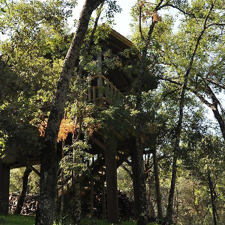 Los Nidos De Santa Maria Arroyo Frío Exterior foto